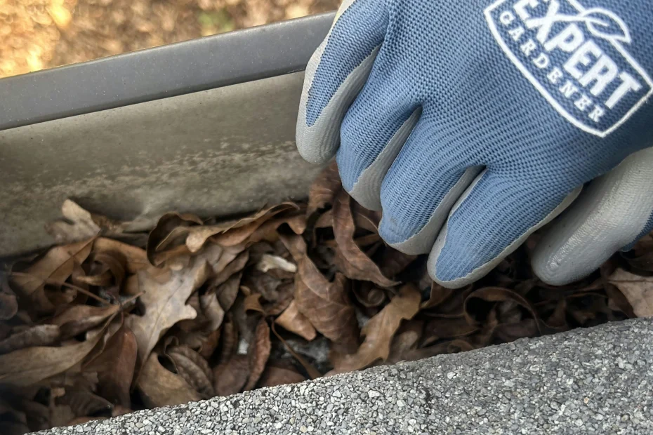 Gutter Cleaning Monroeville