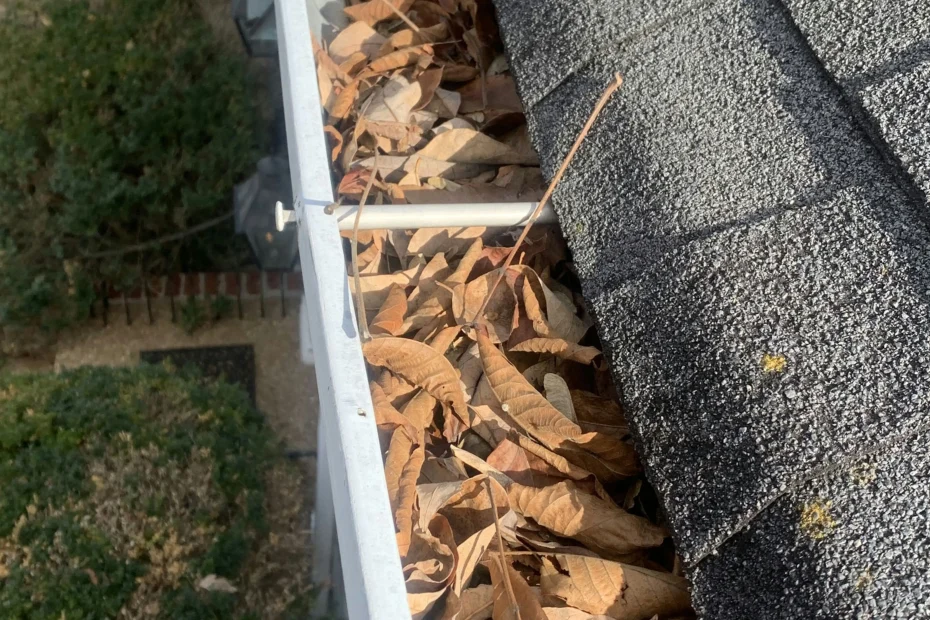 Gutter Cleaning Monroeville